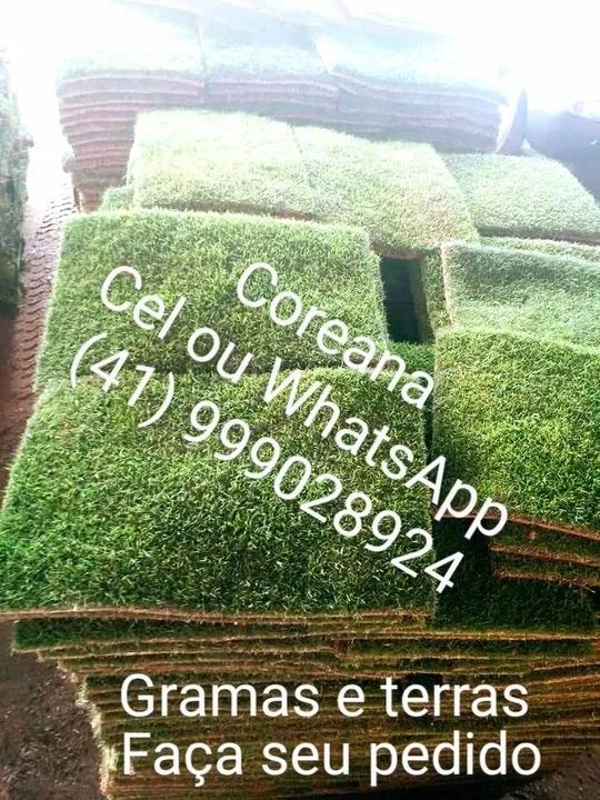Grama  - Foto 2