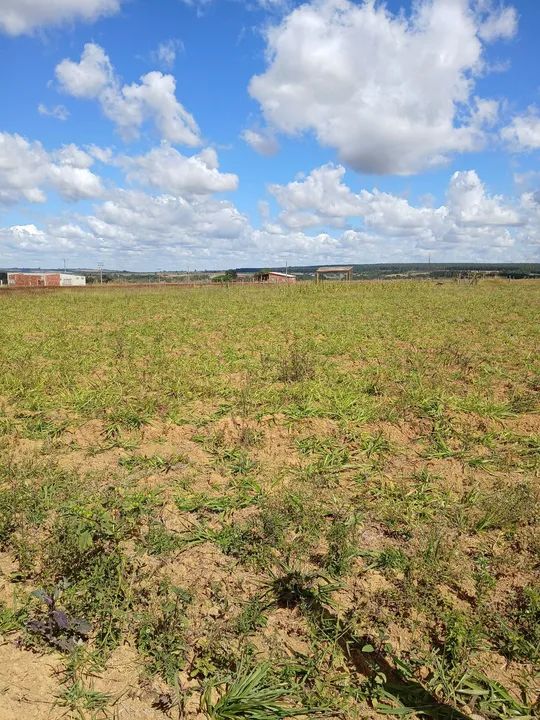 foto - Brasília - Taguatinga Norte (Taguatinga)