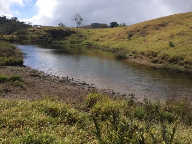 Fazenda com vinhedo em Serro 260ha maravilhosa na nascente do rio jequitinhonha - Foto 3