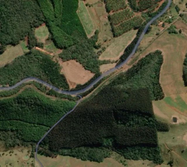 Propriedade Rural Reflorestada com Eucalípto - Foto 6