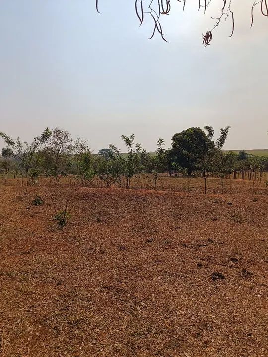 Chácara Arco Íris em Araçatuba-SP- terreno de 5000 m² - Oportunidade - Foto 6