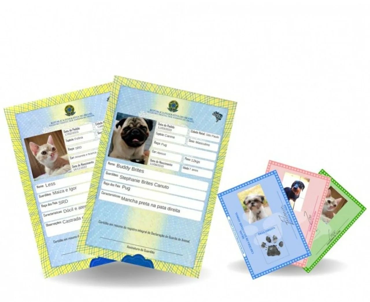 Carteira de Identificação Animal - Pet ID - Impressa - Foto 2