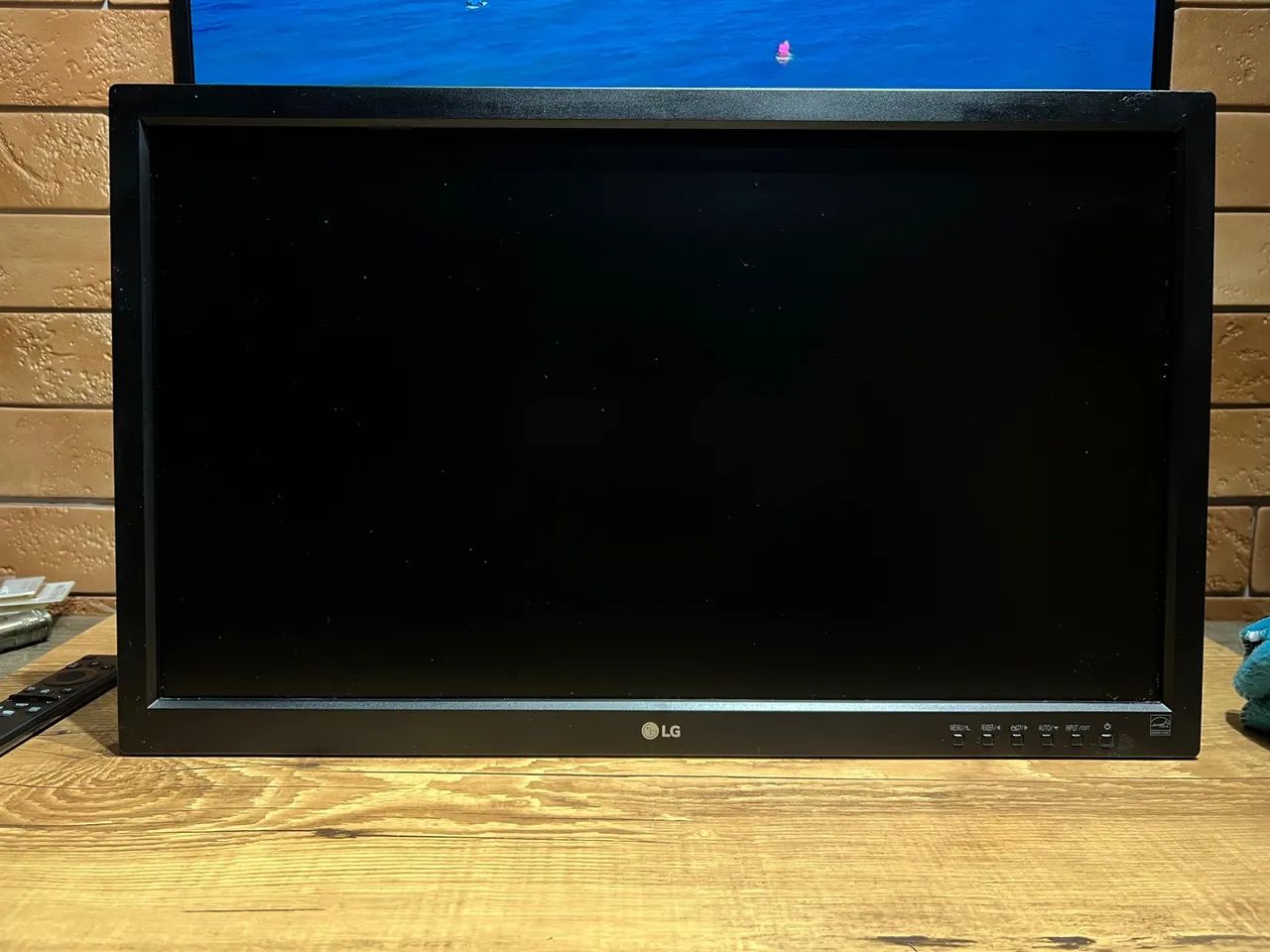 monitor lg 23 polegadas ips