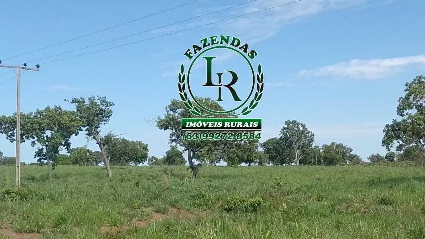 Fazenda 89 Alqueires Próximo a Palmas