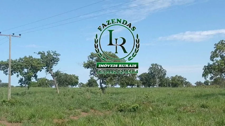 Fazenda 89 Alqueires Próximo a Palmas