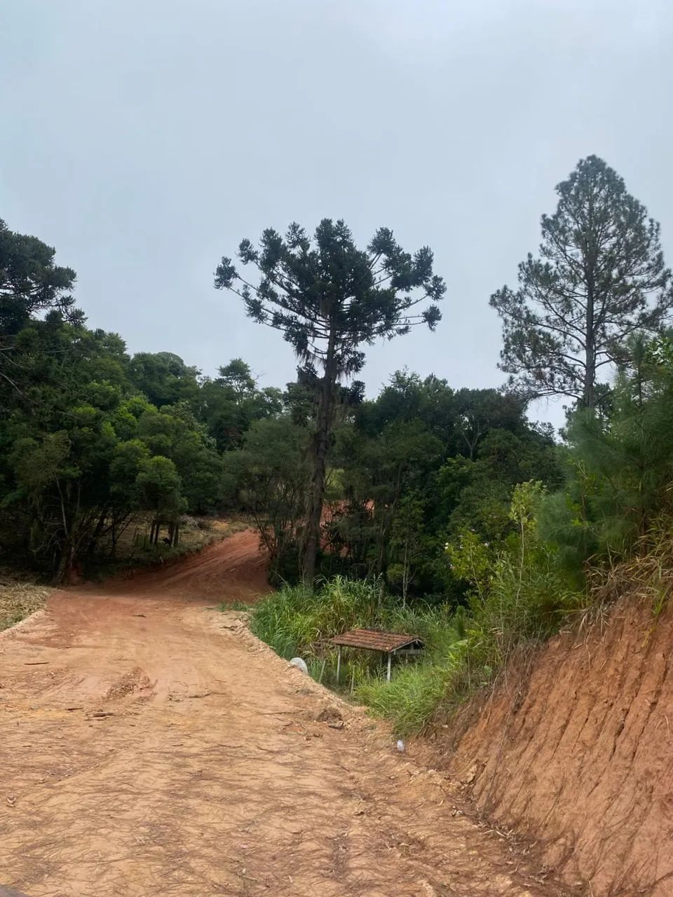 VENDO Terreno de 500m² em Ibiúna-SP Condomínio Pronto com Segurança e Moradores - Foto 5