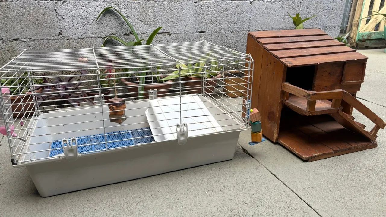 Gaiola para roedores com casinha de madeira e mais - Foto 4