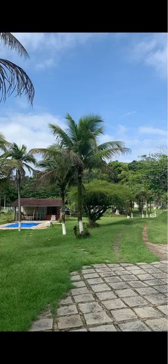 Foto - Cachoeiras de Macacu - 