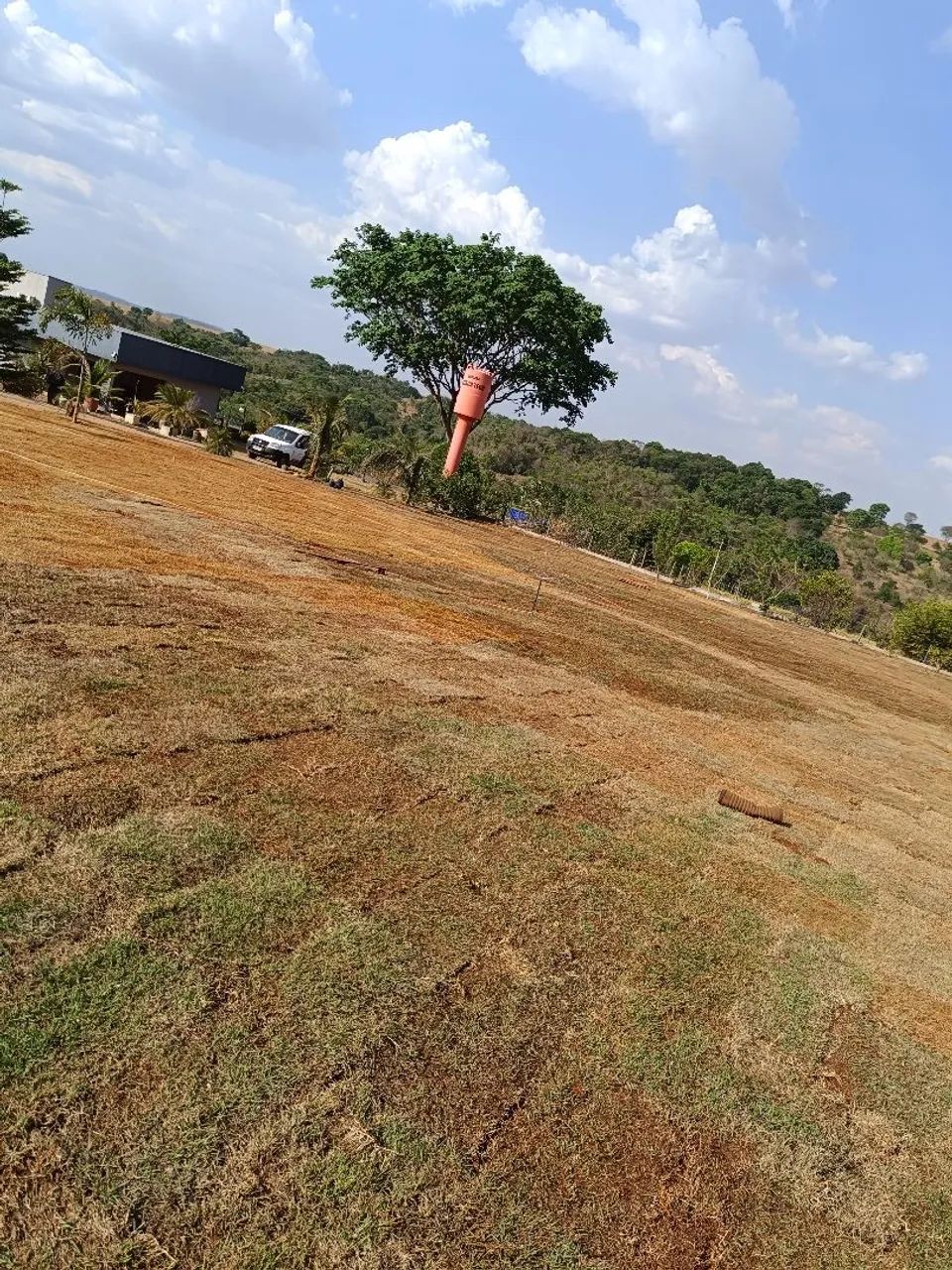 Plantio De Grama Em Mudas E Tapetes... - Foto 2