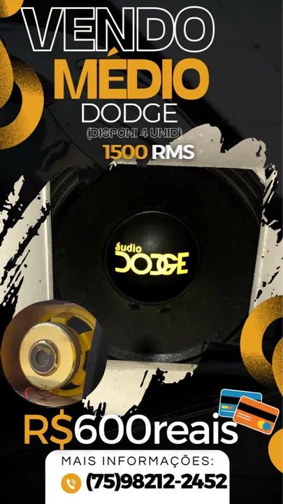MEDIO 12 POLEGADAS (audio dodge)