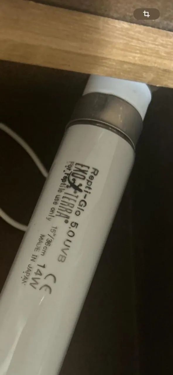 Terrarium Completo com acessórios  - Foto 4