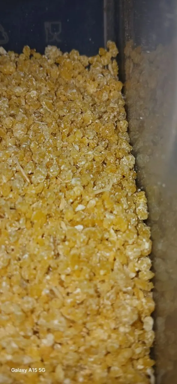 Farinha amarela