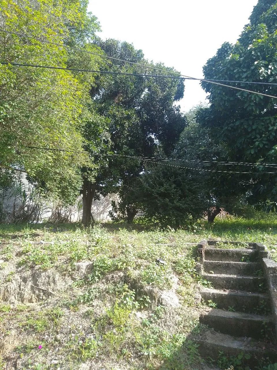 Vendo sítio  - Foto 4