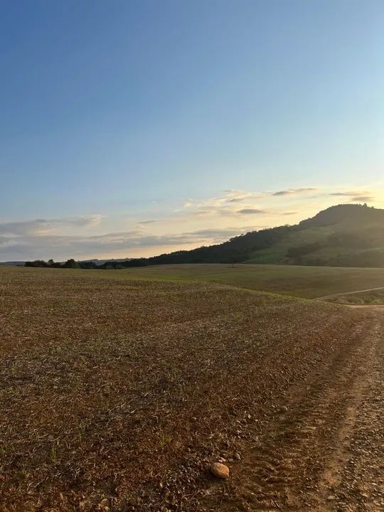 fazenda tem 54 planta 43 - Foto 4