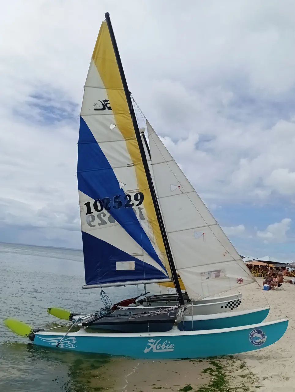 2 Hobie Cat 16 e 1 carreta rodoviária  - Foto 2