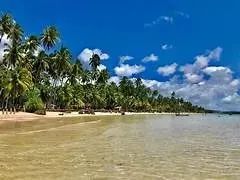 Imóvel para venda com 33 metros quadrados com 1 quarto em Praia dos Carneiros - Tamandaré  - Foto 3