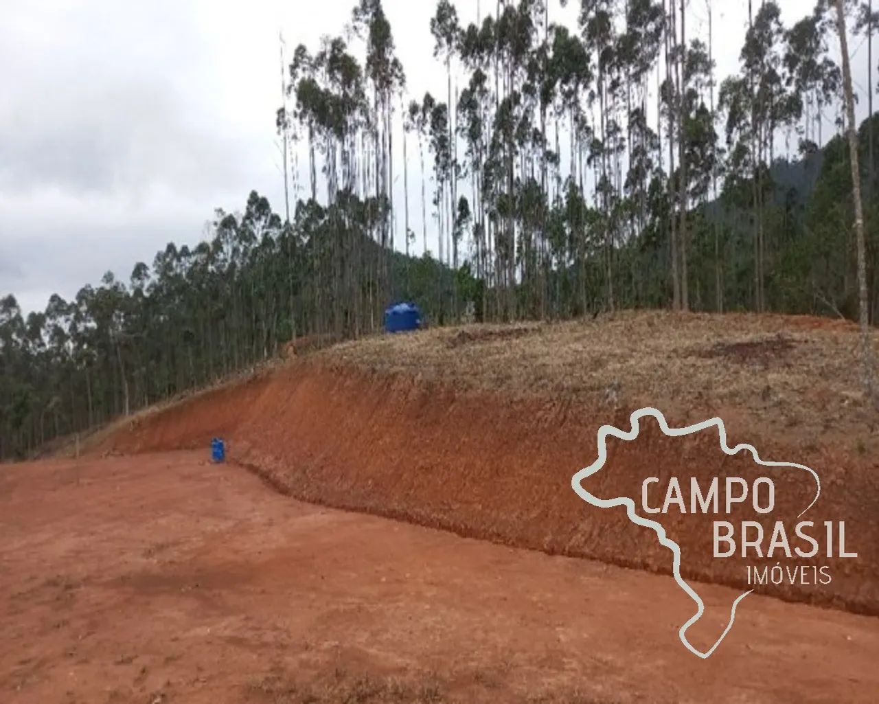 ÁREA 31.000M² EM MONTEIRO LOBATO ! - Foto 3