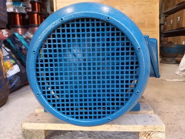 MOTOR ELÉTRICO WEG  W21 - 30CV - Foto 3