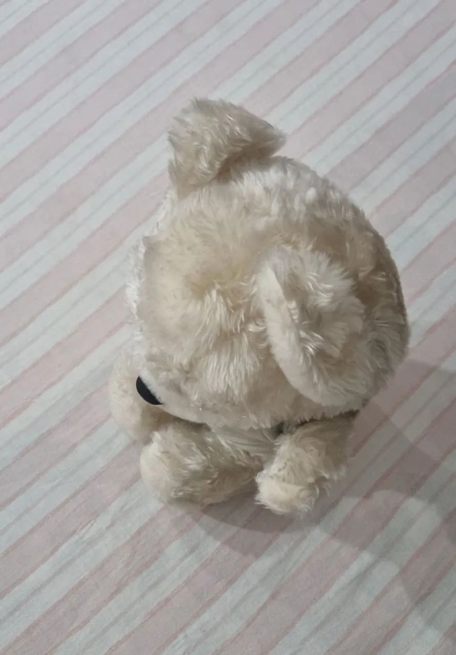 Antigo Boneco Urso de Pelucia Pakalolo - Item raro para Colecionadores - Foto 6