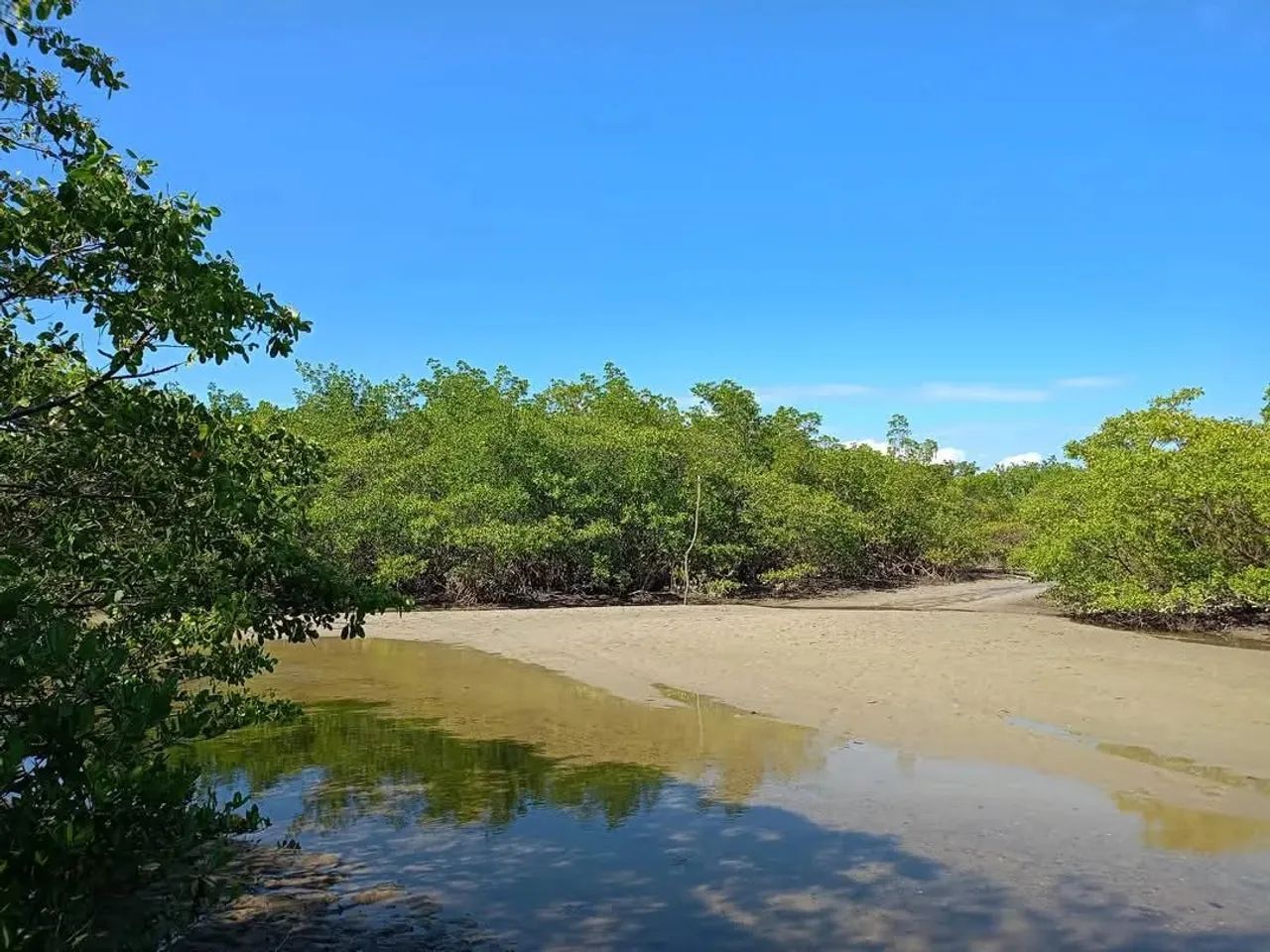 Ótimo terreno plano a venda em condomínio fechado c/ saída para bela praia em Itaparica-Ba - Foto 5