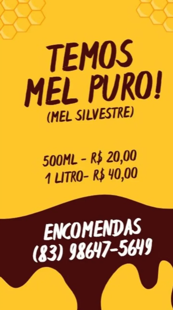 Mel Puro de abelha - R$ 20,00 500ml