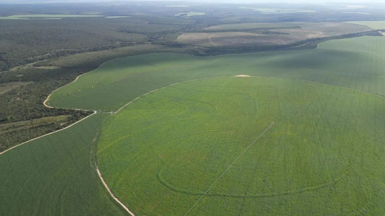 Fazenda com área verde e irrigação - Foto 3
