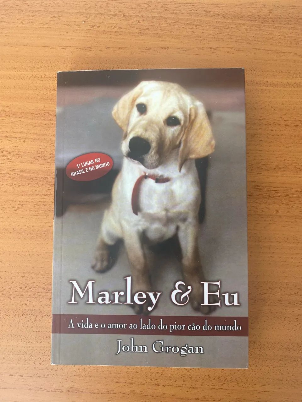Livro Marley & Eu 