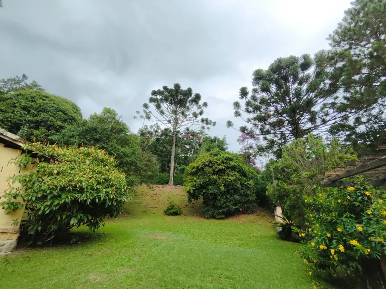 180.000 m2 de natureza à venda em Teresópolis, Vargem Grande, perto do Hotel Le Canton. - Foto 4