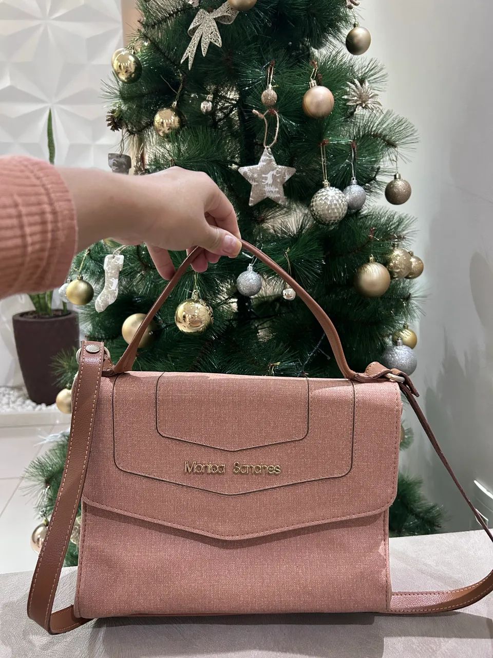 Bolsa Mônica Sanches 