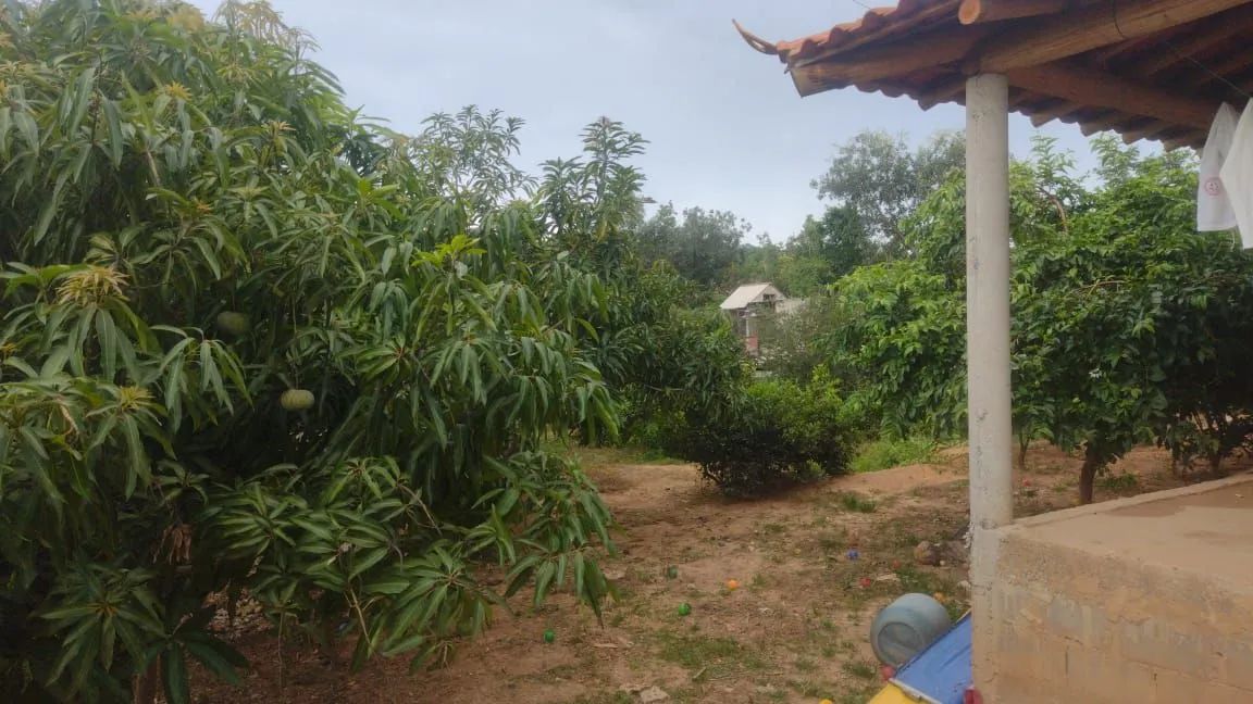 Chácara com preço de oportunidade!!! - Foto 9