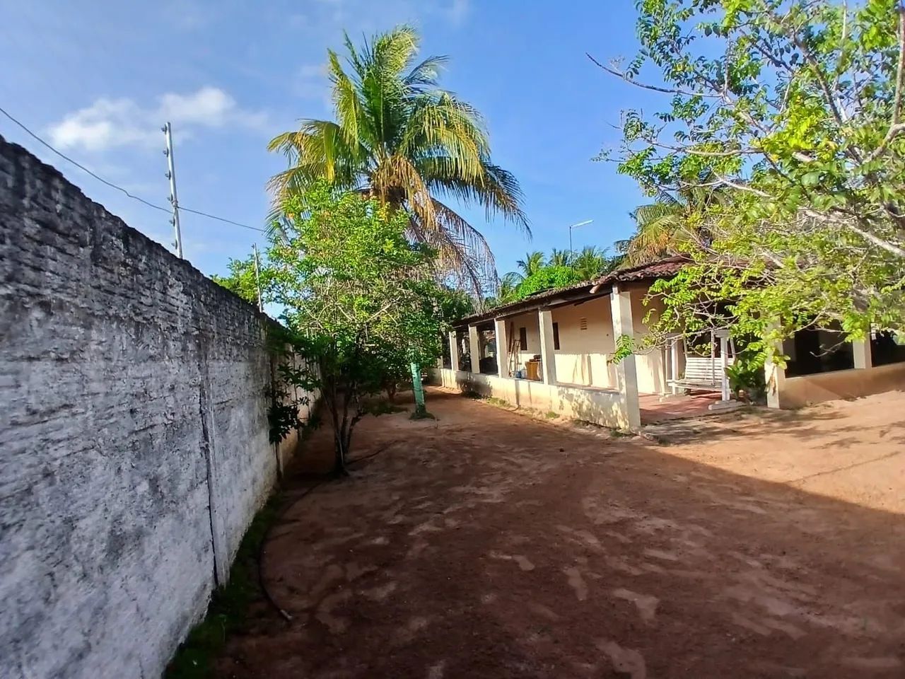 Granja Acari  - Foto 3