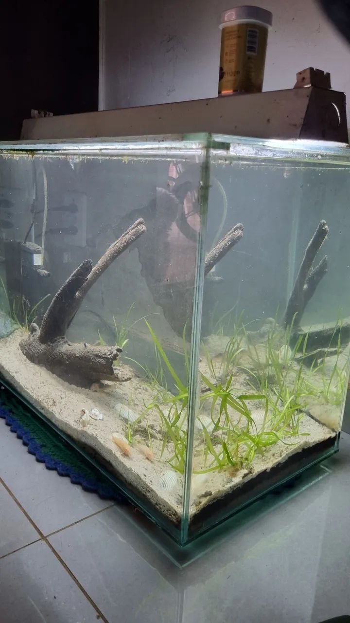 Aquario 72 Litros - Foto 2