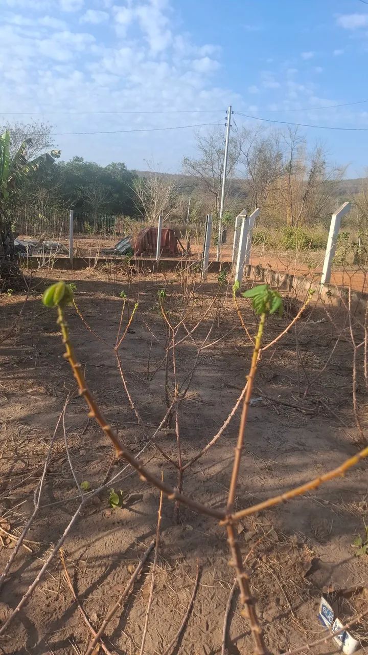 Chácara  - Foto 4