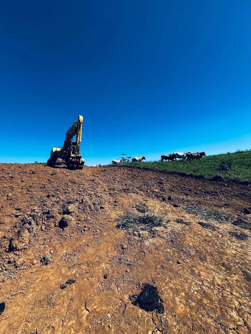 600 metros quadrados em Águas de Igaratá - Igaratá - SP - Foto 3