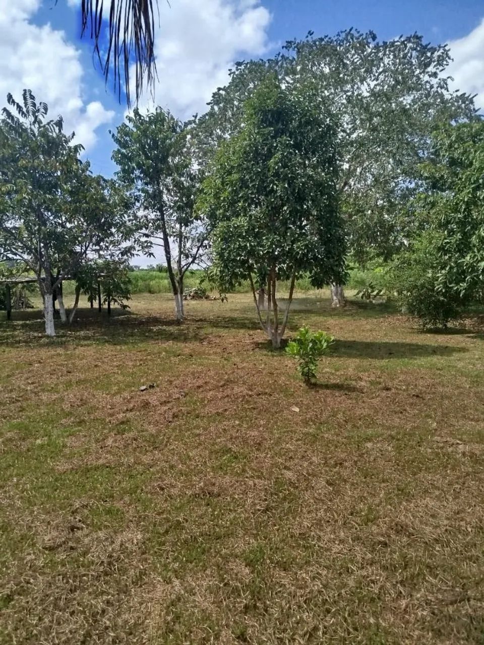 Chácara 200.000 - Foto 3
