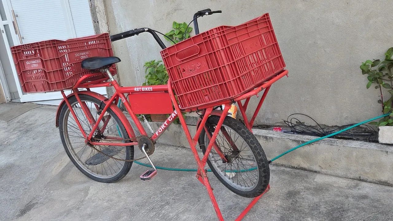 Bicicleta Cargueira