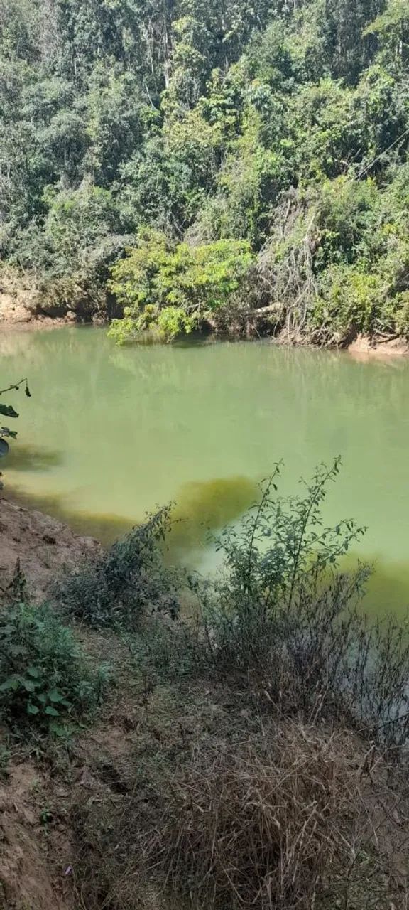 Vendo chácara às margens do Rio Areia  - Foto 3
