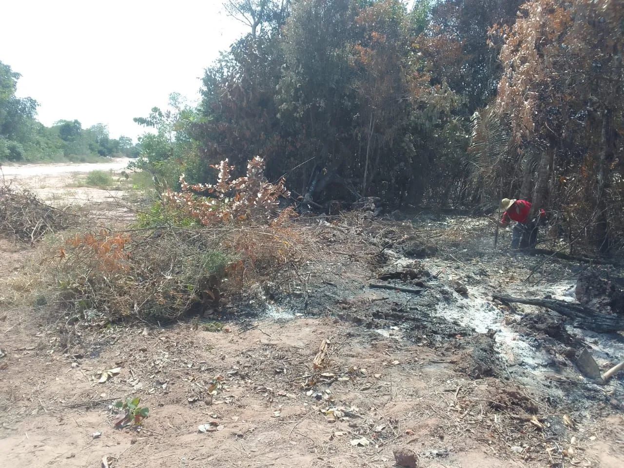 Limpeza de terreno  - Foto 3