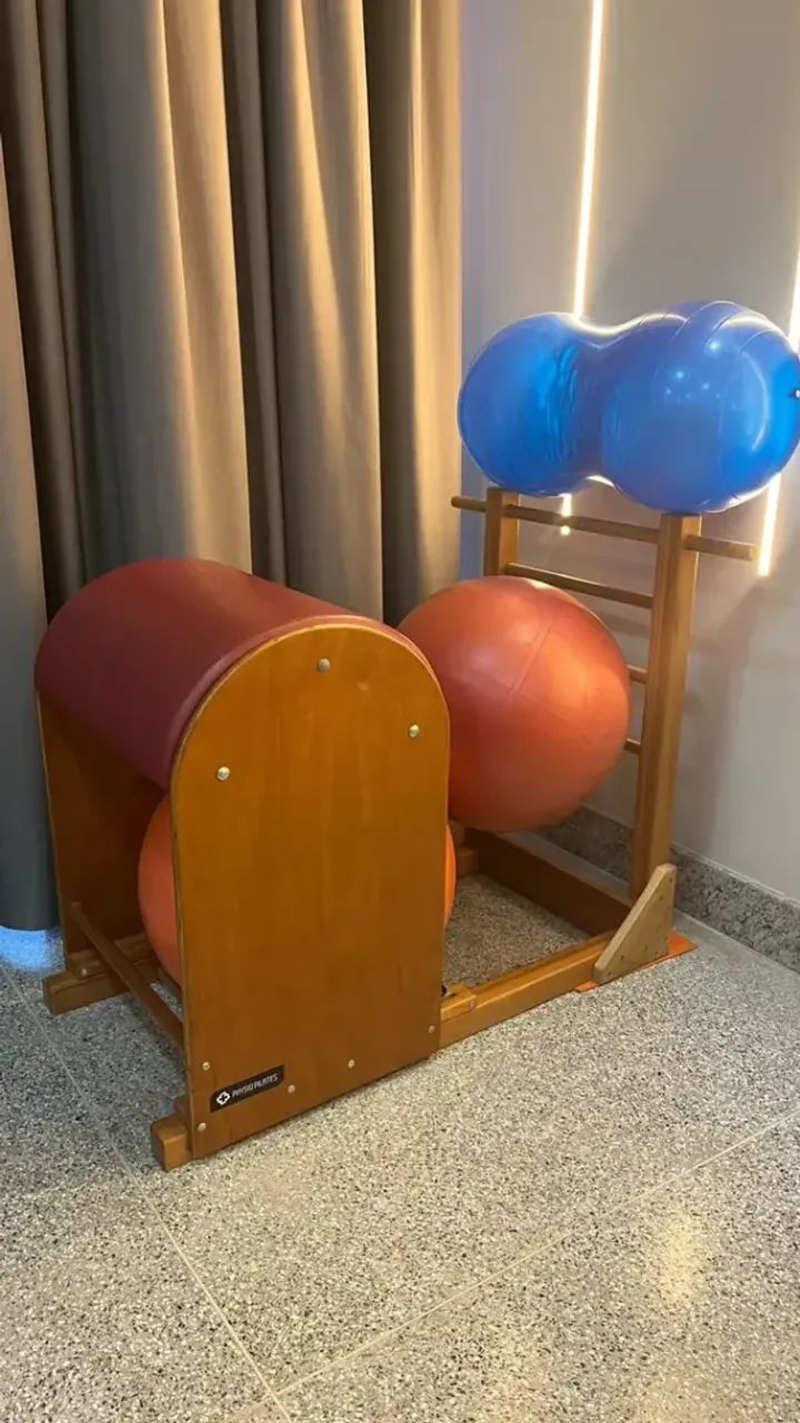 Ladder Barrel Physio