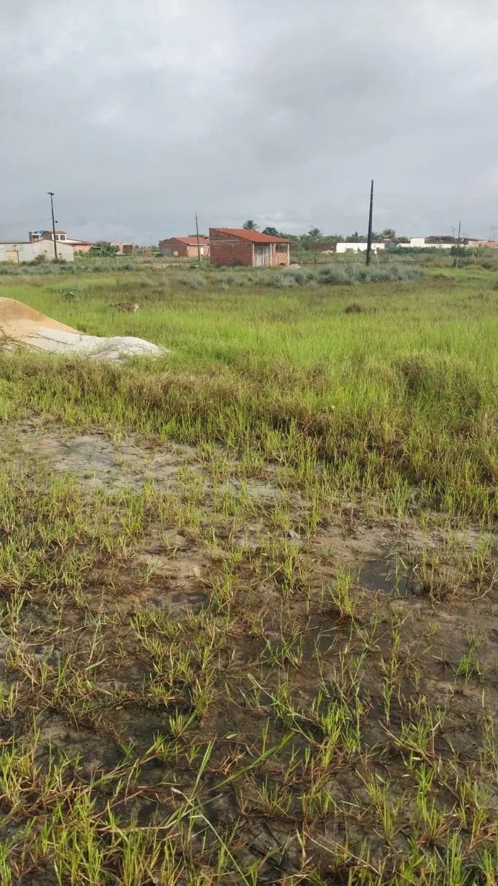  Vende-se lotes de terreno próximo ao trevo de jatobá  - Foto 5