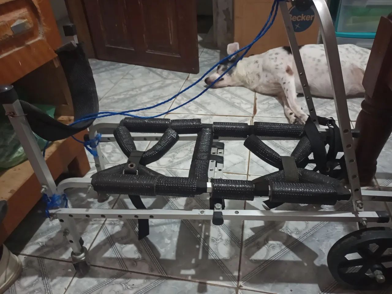 Cadeira de roda para cães 