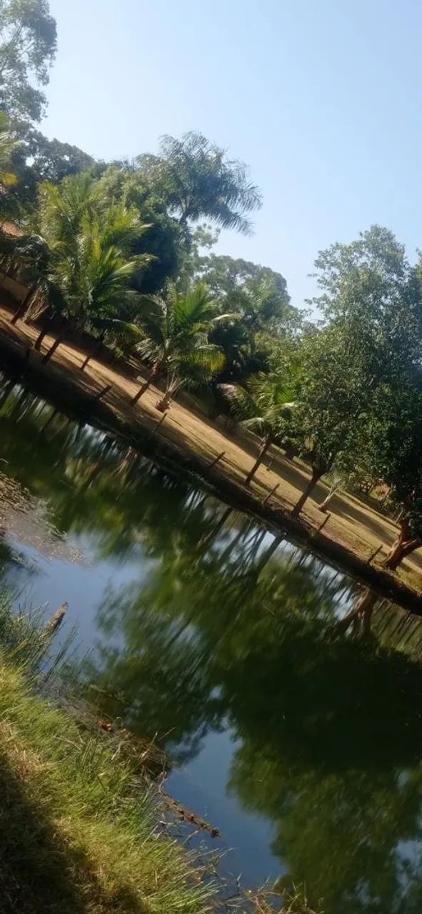 Fazenda 55 alqueires Jussara 