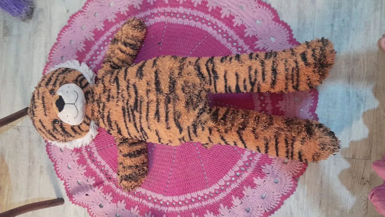 Urso - Foto 2
