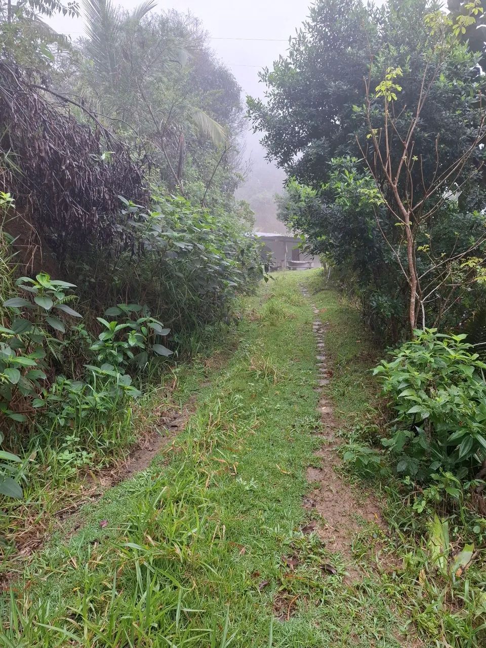 Sitio em Santa Luzia - Guarapari - Foto 5