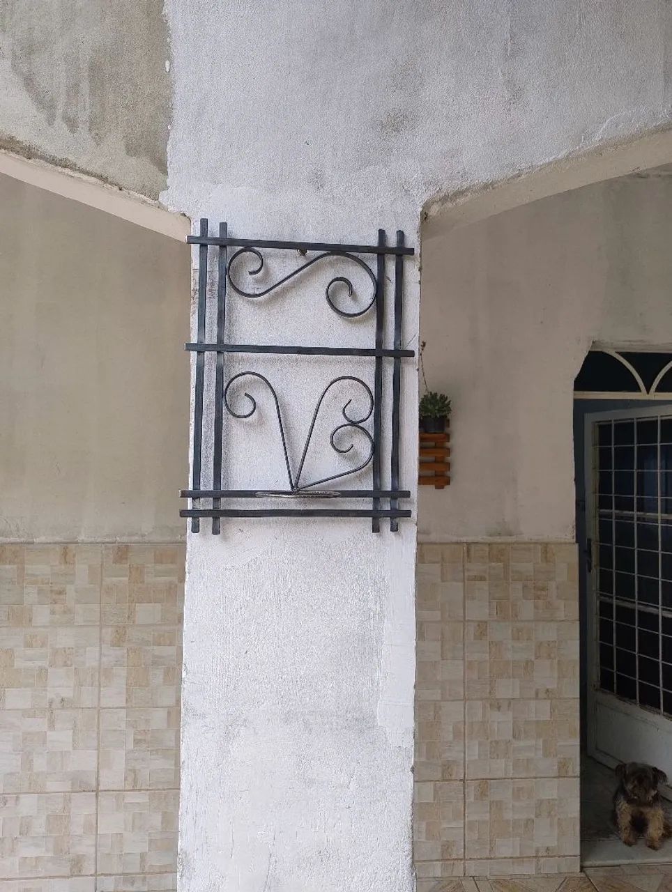 Suporte armado plantas  - Foto 5