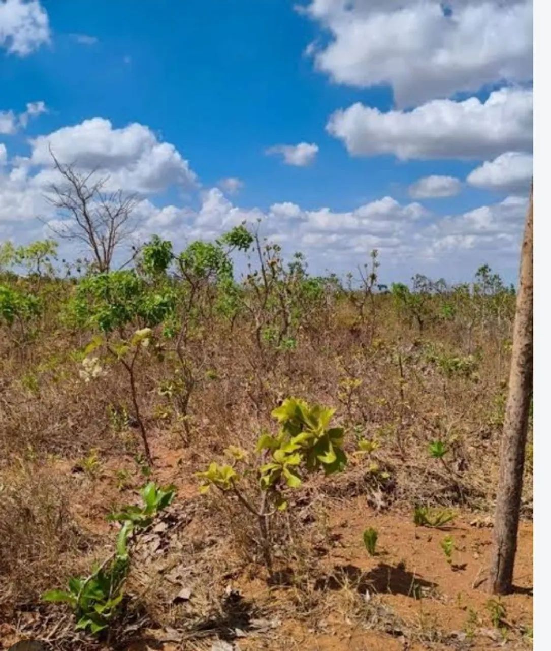 Terreno de esquina na cidade de Planalmira 