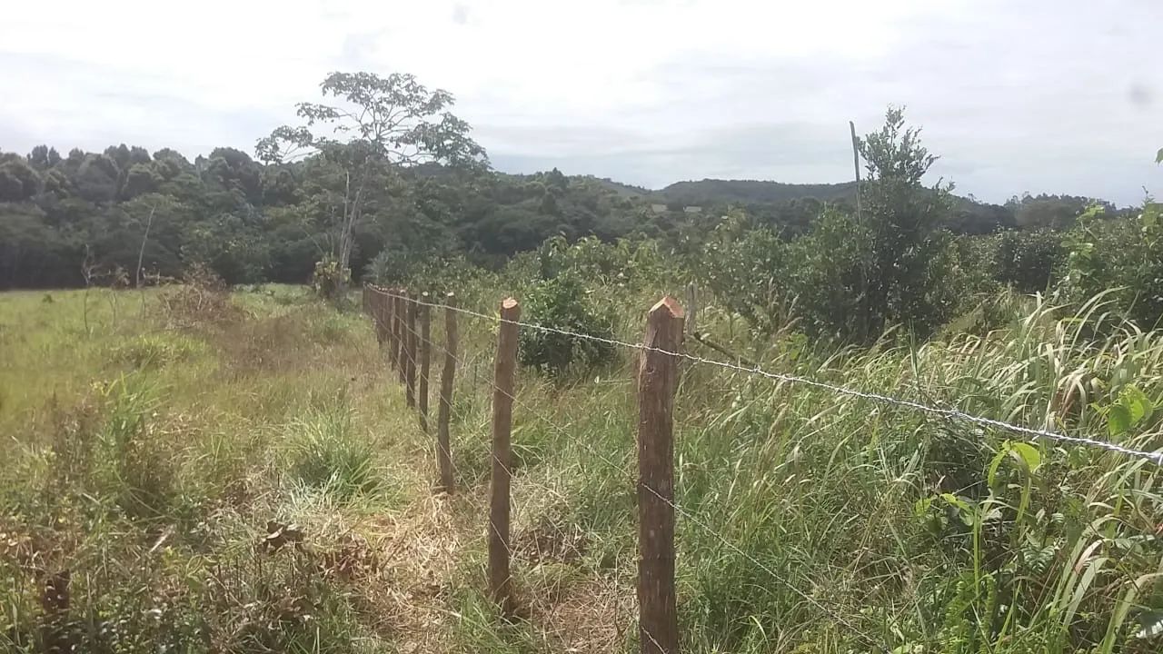 Terreno  - Foto 4