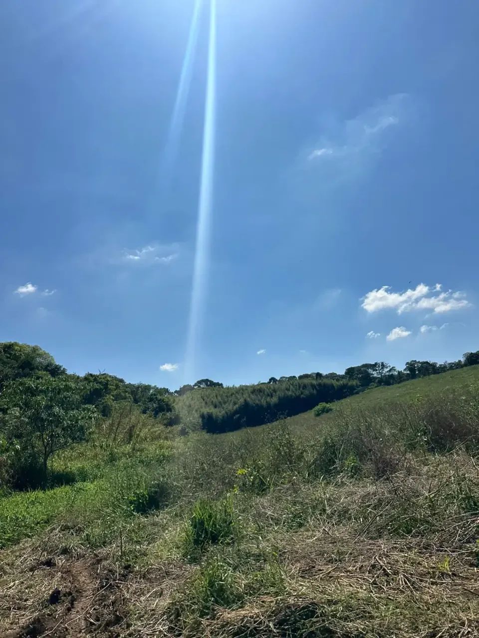 Terrenos com Natureza, Privacidade e Muito Espaço. - Foto 3