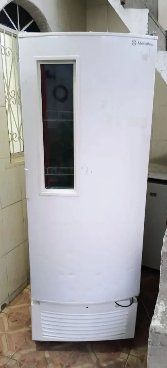 Freezer Vertical 