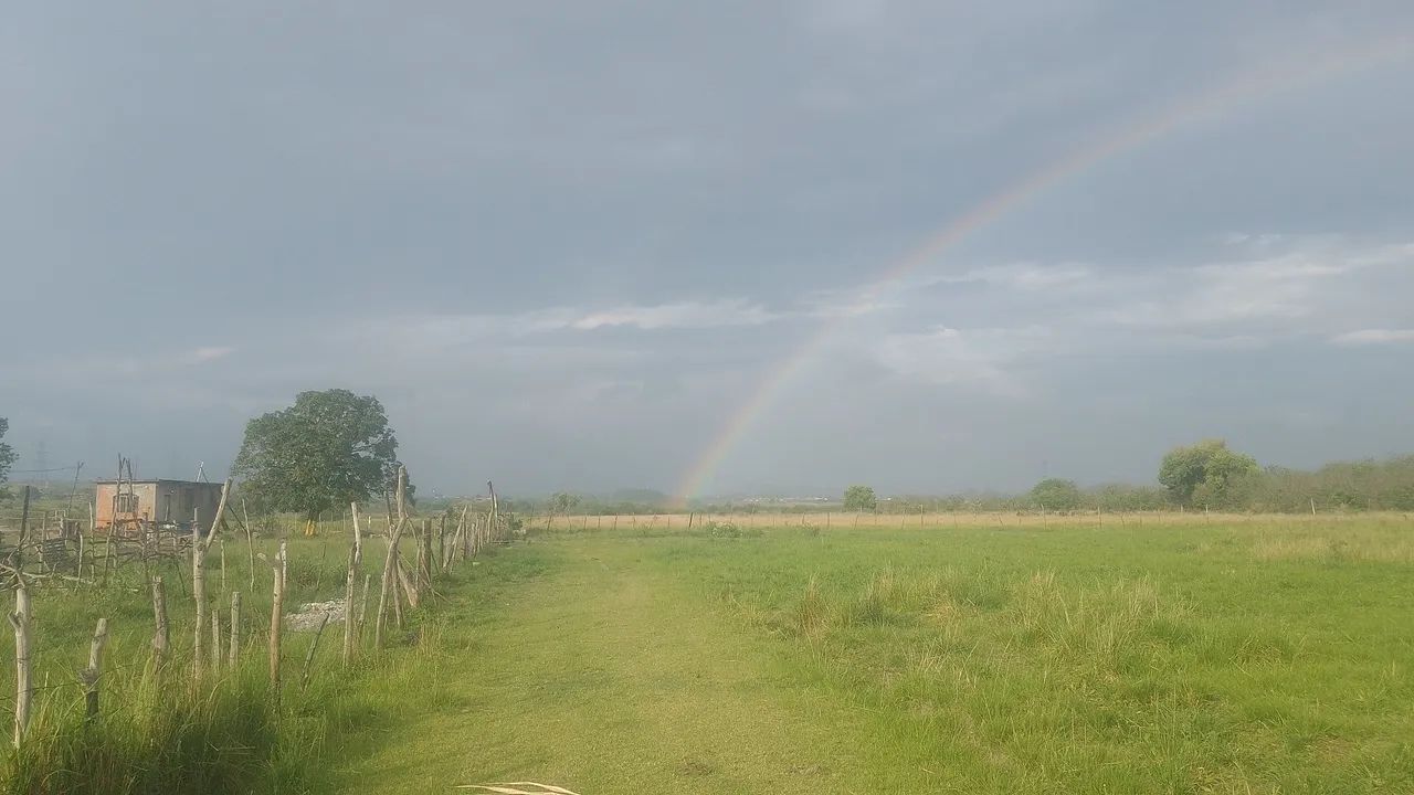 Vendo sitio em nova Iguaçu! - Foto 5